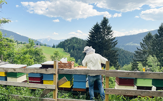 Imker Sigi bei den Bienenstöcken in den Nockbergen
